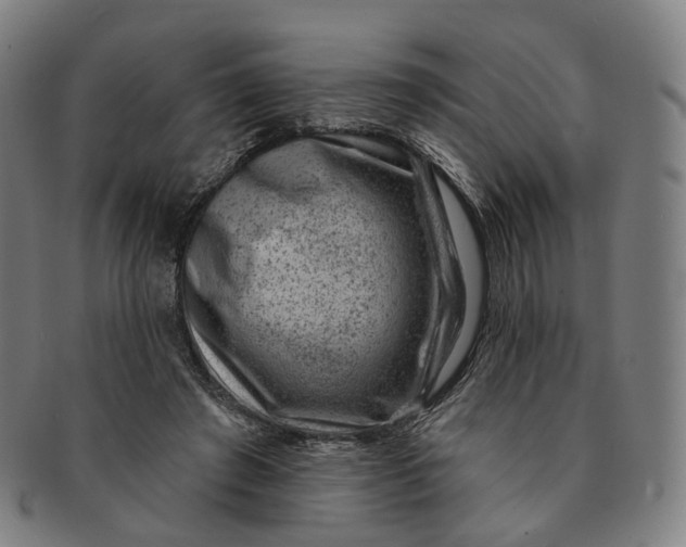 X0000091000401200708241454