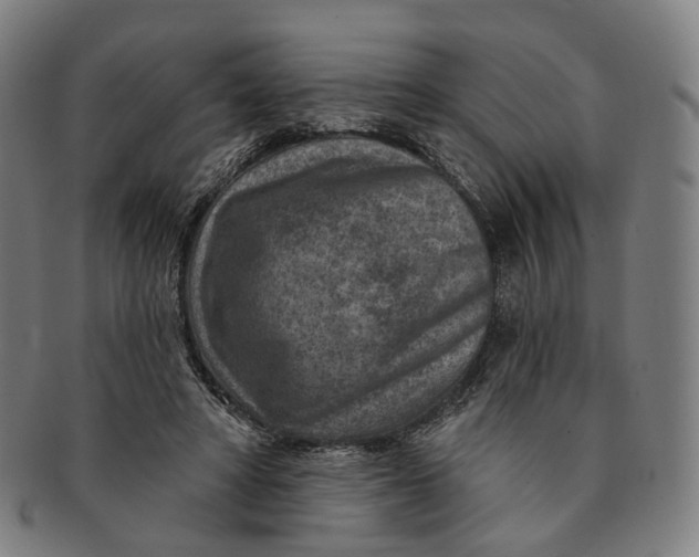 X0000091000402200708241454