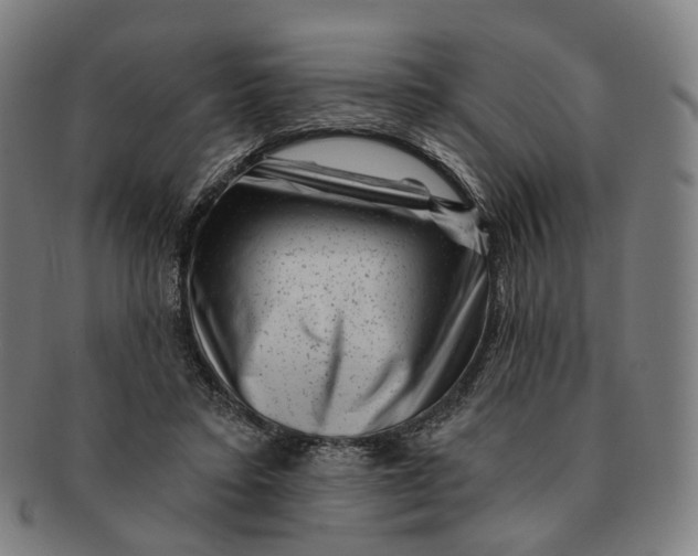 X0000091000403200708241454