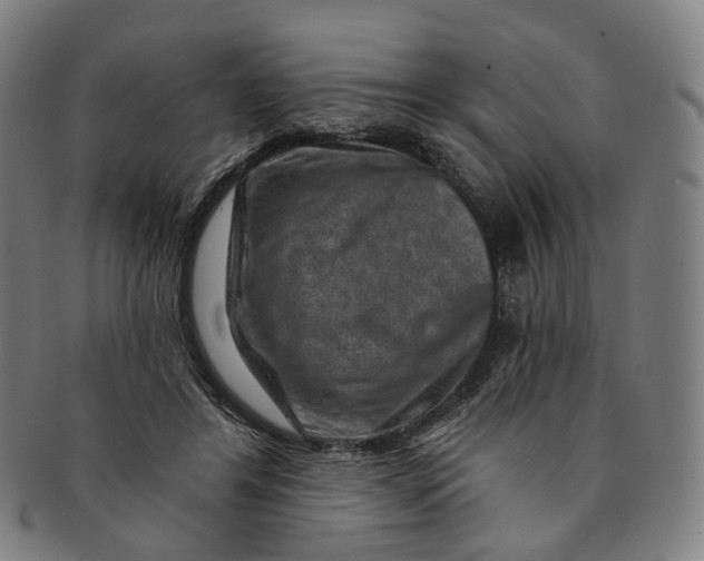 X0000091000404200708241454