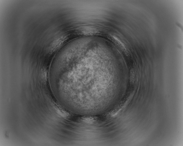 X0000091000405200708241454