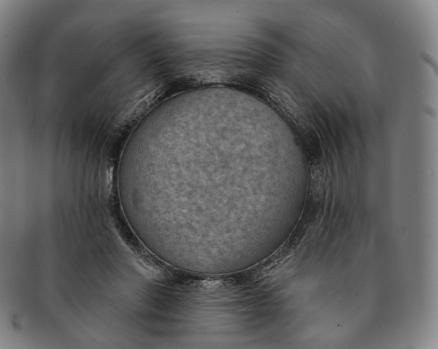 X0000091000406200708241454