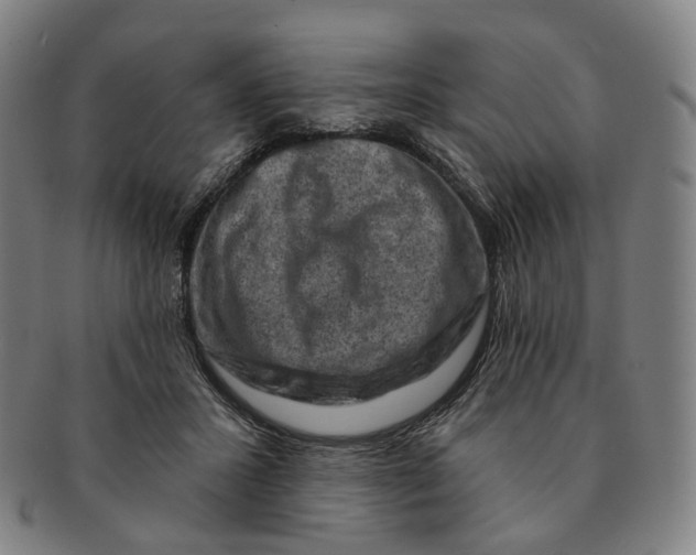 X0000091000407200708241454