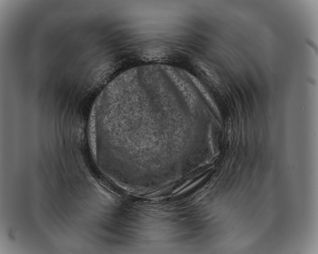 X0000091000408200708241454