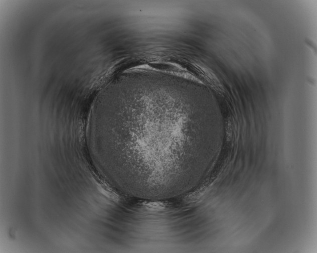 X0000091000409200708241454