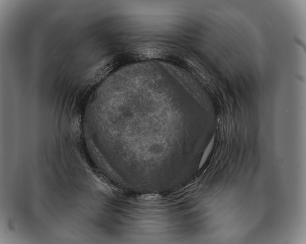 X0000091000410200708241454