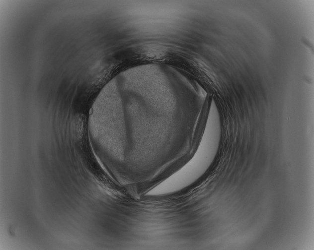 X0000091000412200708241454