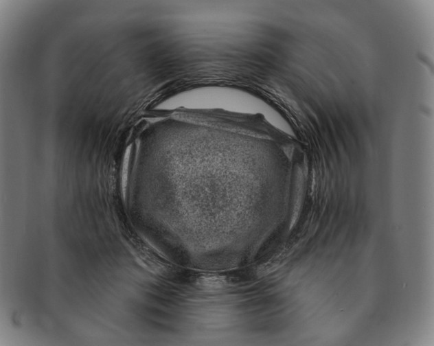 X0000091000413200708241454