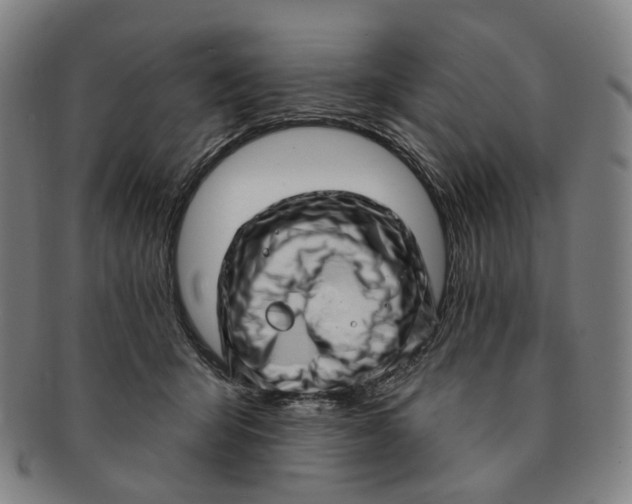 X0000091000415200708241454