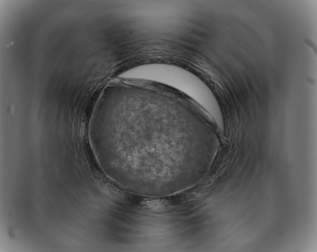 X0000091000417200708241454