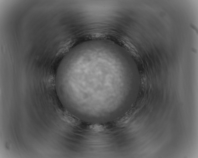 X0000091000419200708241454