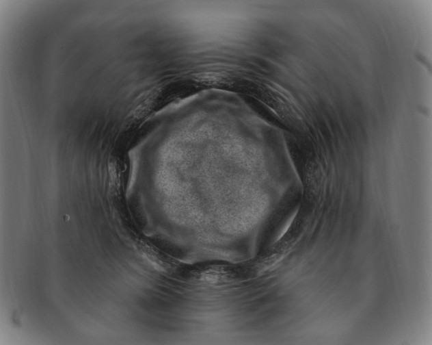 X0000091000420200708241454