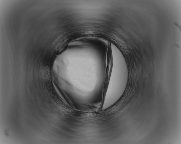 X0000091000421200708241454