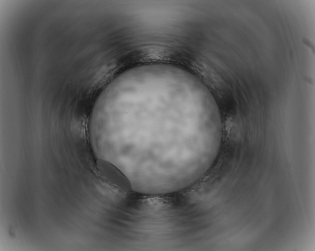 X0000091000423200708241454