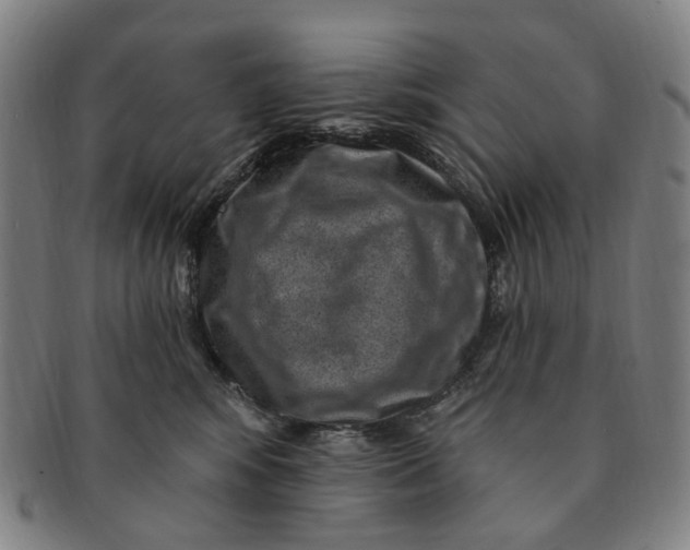 X0000091000424200708241454