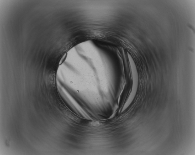 X0000091000425200708241454