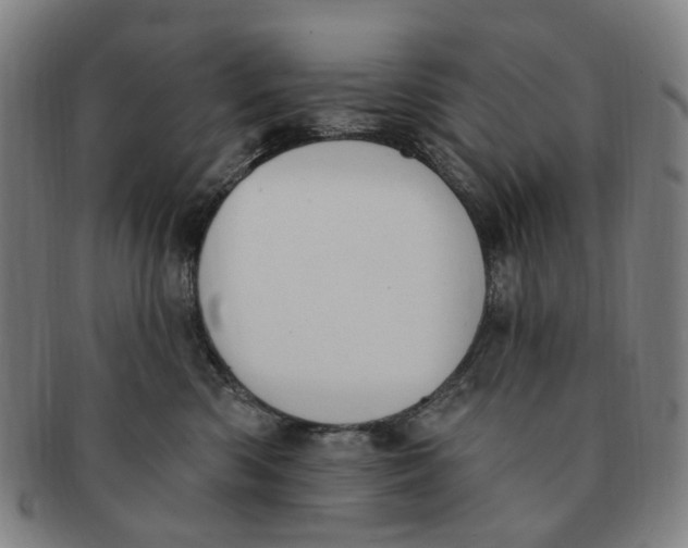 X0000091000426200708241454