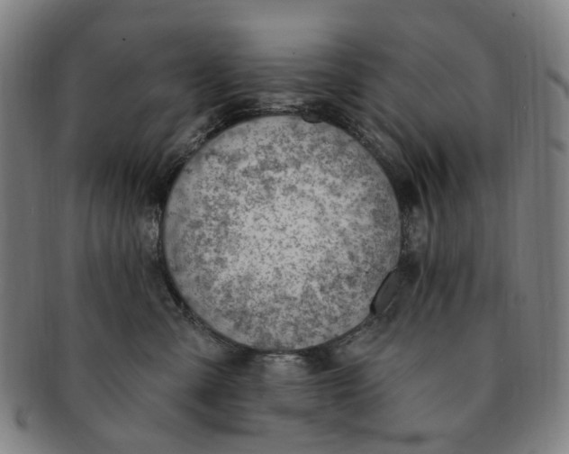 X0000091000427200708241454