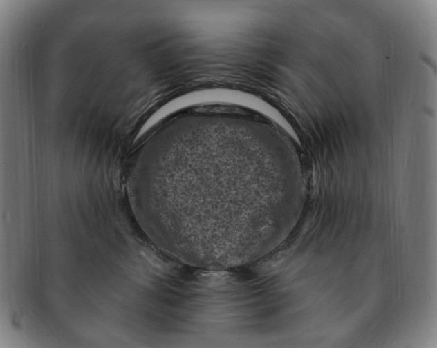 X0000091000428200708241454