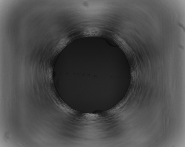 X0000091000429200708241454