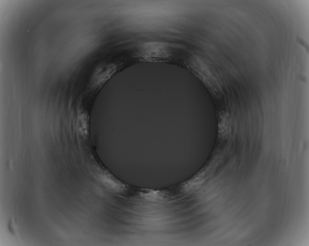 X0000091000430200708241454