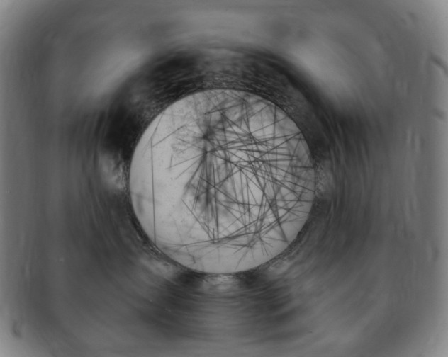 X0000091000431200708241454