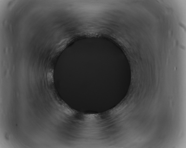 X0000091000432200708241454