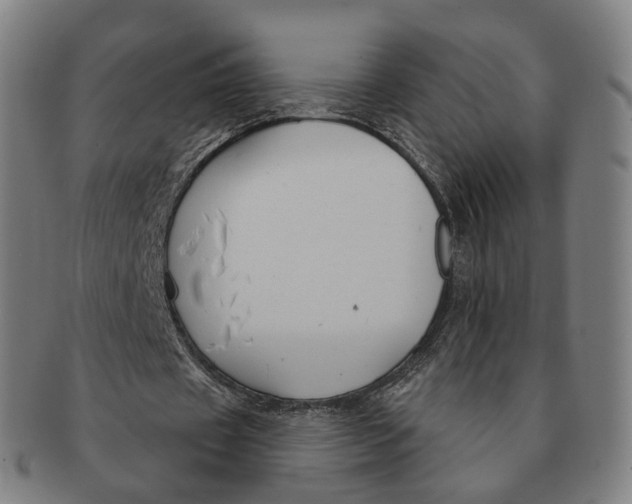 X0000091000433200708241453