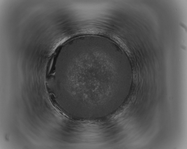 X0000091000434200708241453