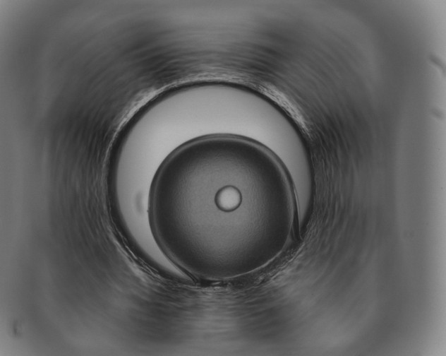 X0000091000436200708241453