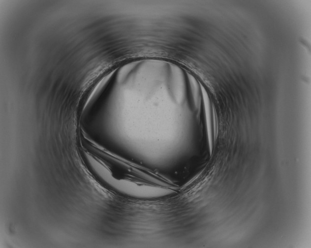 X0000091000437200708241453