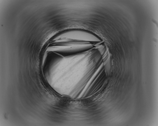 X0000091000440200708241453