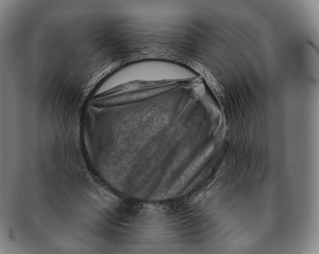 X0000091000442200708241453