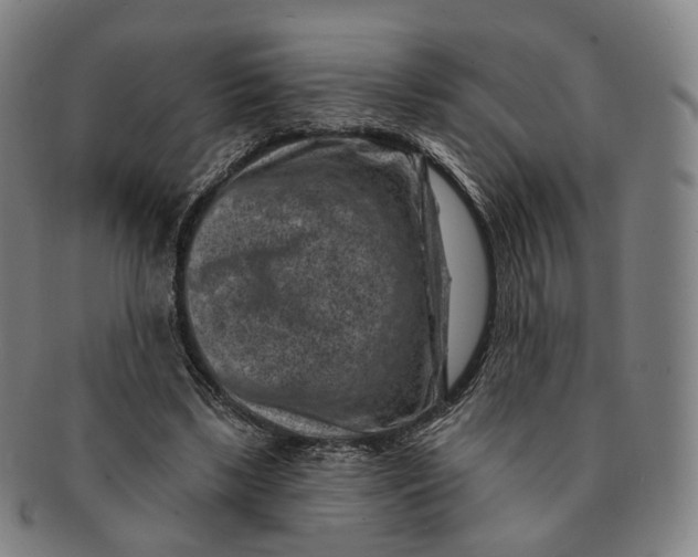 X0000091000443200708241453