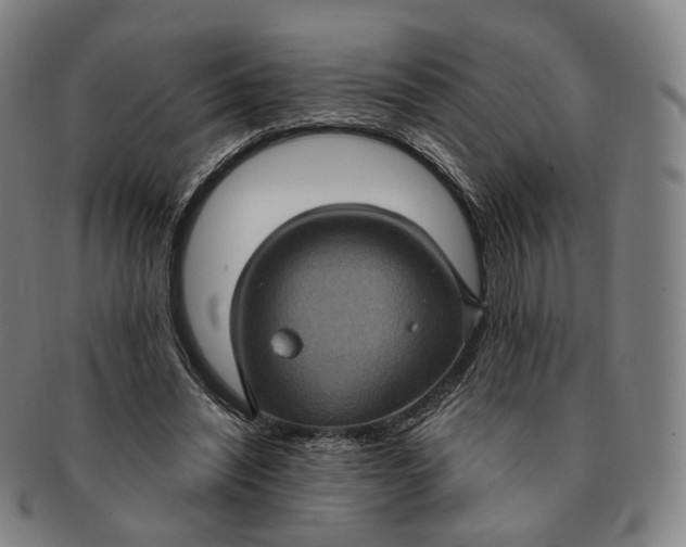 X0000091000444200708241453