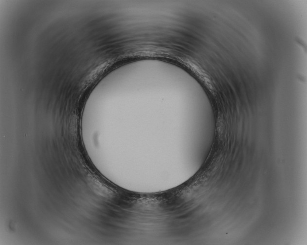 X0000091000445200708241453