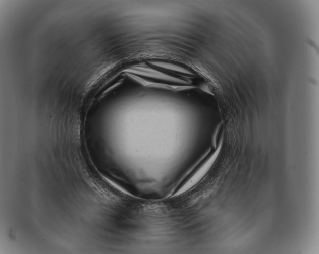 X0000091000446200708241453