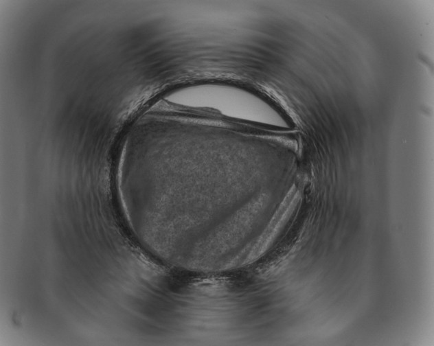 X0000091000447200708241453