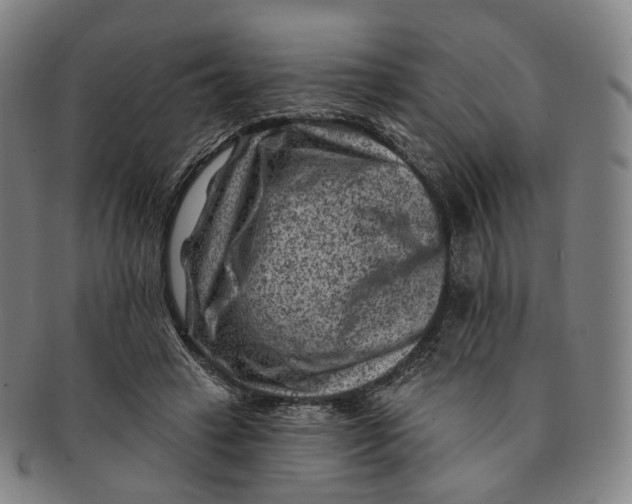 X0000091000449200708241453