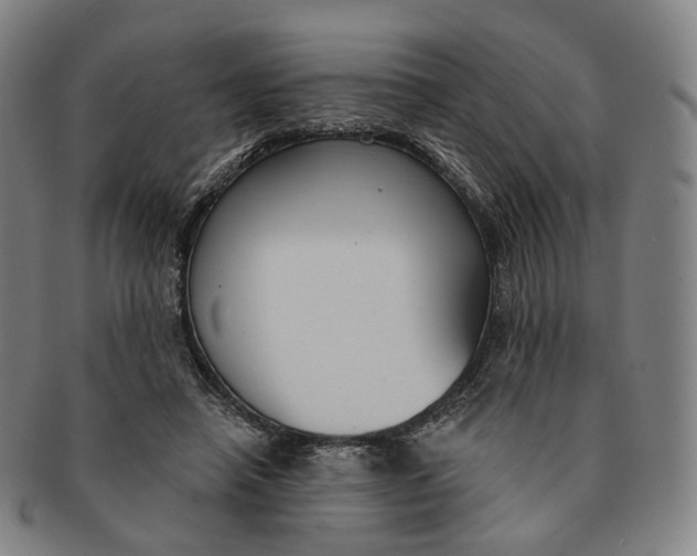 X0000091000450200708241453