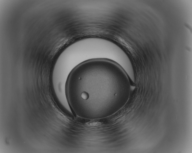 X0000091000452200708241453