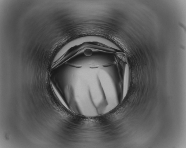 X0000091000453200708241453