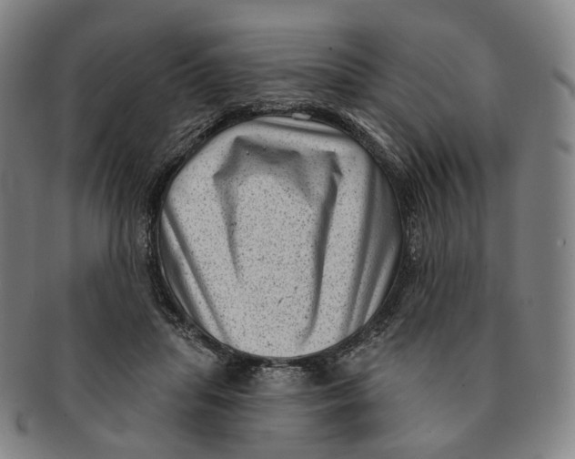 X0000091000455200708241453