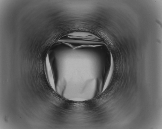 X0000091000457200708241453