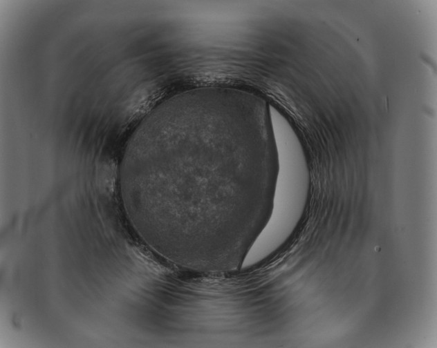 X0000091000458200708241453