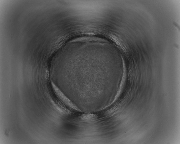 X0000091000459200708241453