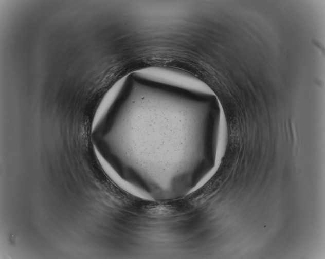 X0000091000460200708241453