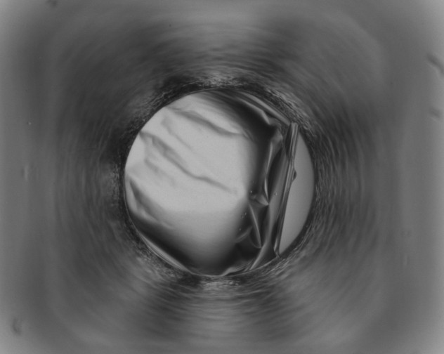 X0000091000461200708241453