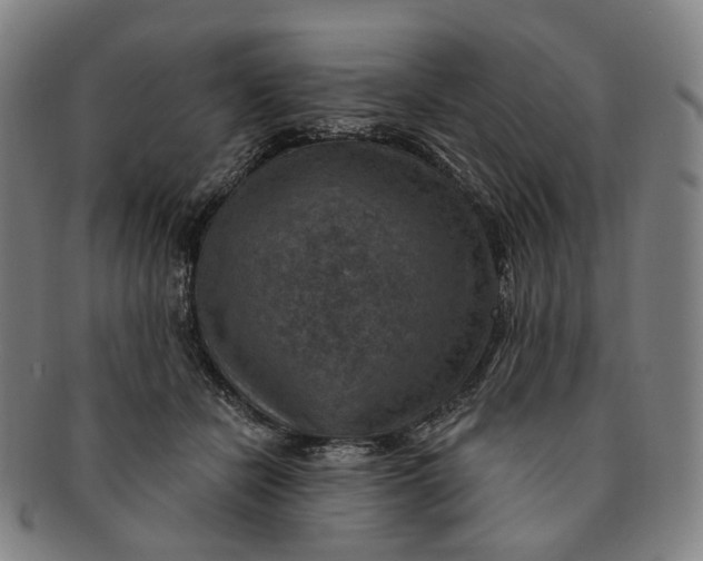 X0000091000462200708241453