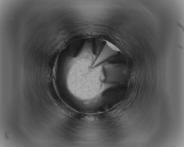 X0000091000464200708241453